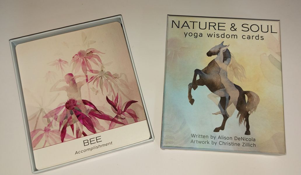 Nature & Soul Yoga Wisdom Cards (Мудрость йоги природы и души), US Games 40 карт — изображение 2