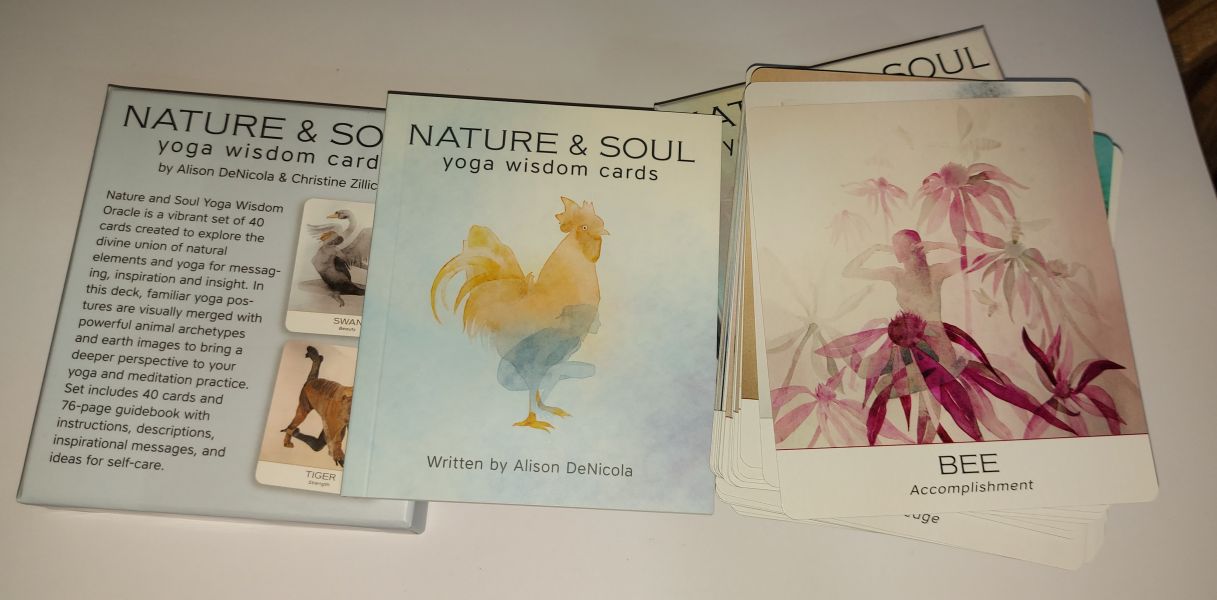 Nature & Soul Yoga Wisdom Cards (Мудрость йоги природы и души), US Games 40 карт — изображение 3