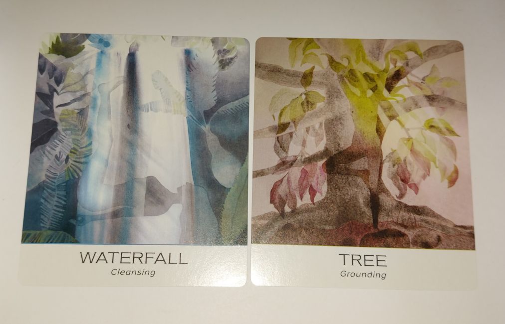 Nature & Soul Yoga Wisdom Cards (Мудрость йоги природы и души), US Games 40 карт — изображение 4