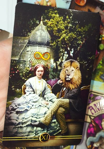 Le Tarot des Animaleries, Таро Зоомагазины. 87 карт — изображение 4