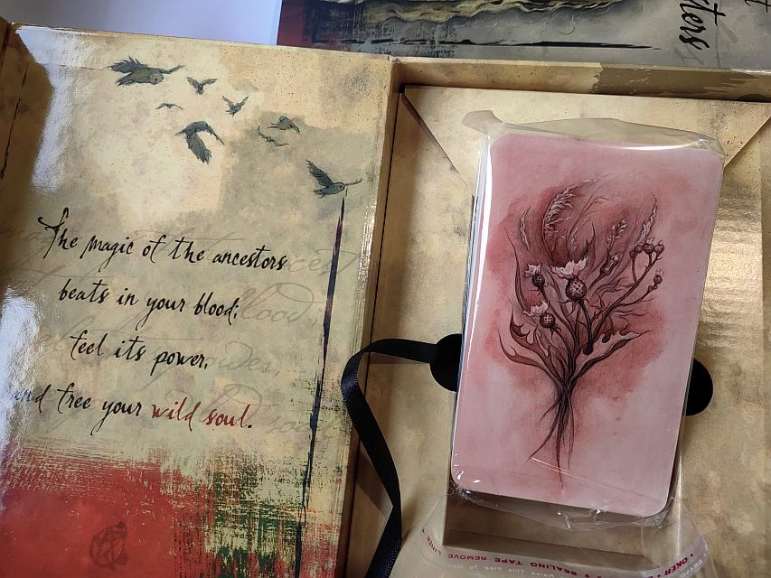 Таро Сестры Ведьмы, Witch Sister Tarot. 78 карт. Оригинал! Набор. — изображение 7